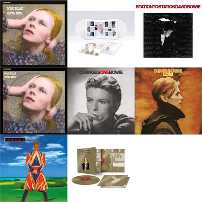 David Bowie - Earthling (2021 Remaster/2LP) & Low (2017 Remaster) & Station To Station (2016 Remastered Version) & Changesonebowie (180G) & Hunky Dory (2015 Remaster/50Th Anniv/Picture Disc) & Live Los Angeles 1974 (White LP Vinyl/Limited) & Ziggy
