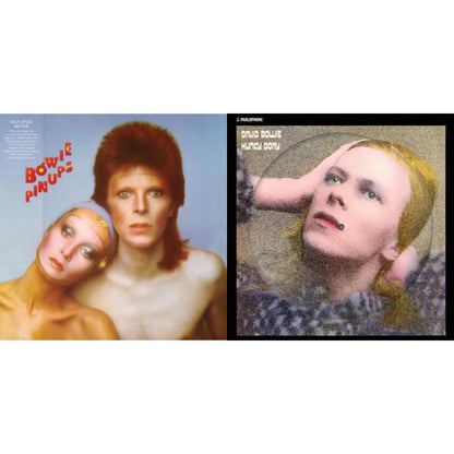 This is a 2 LP Vinyl SKU bundle.
1.This LP Vinyl is brand new.Format: LP VinylMusic Style: GlamThis item's title is: Hunky Dory (2015 Remaster/50Th Anniv/Picture Disc)Artist: David BowieLabel: RHINO/PARLOPHONEBarcode: 190296726804Release Date: 1/7/2022
2.This LP Vinyl is brand new.