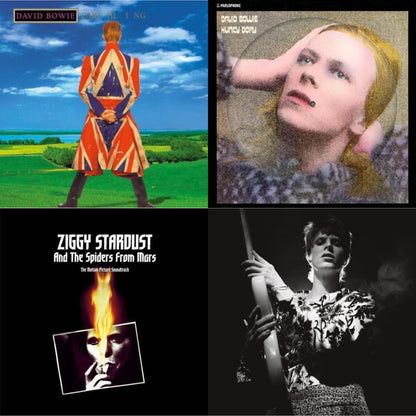 Earthling (2021 Remaster/2LP) & Hunky Dory (2015 Remaster/50Th Anniv/Picture Disc) & Rock N Roll Star & Ziggy Stardust & The Spiders From Mars Ost (2LP)