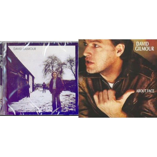 David Gilmour & About Face