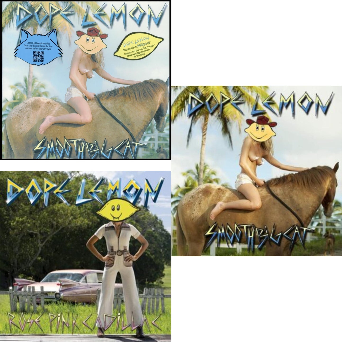 Smooth Big Cat (Picture Disc) & Rose Pink Cadillac (Picture Disc/2LP) & Smooth Big Cat (Turquoise LP Vinyl)