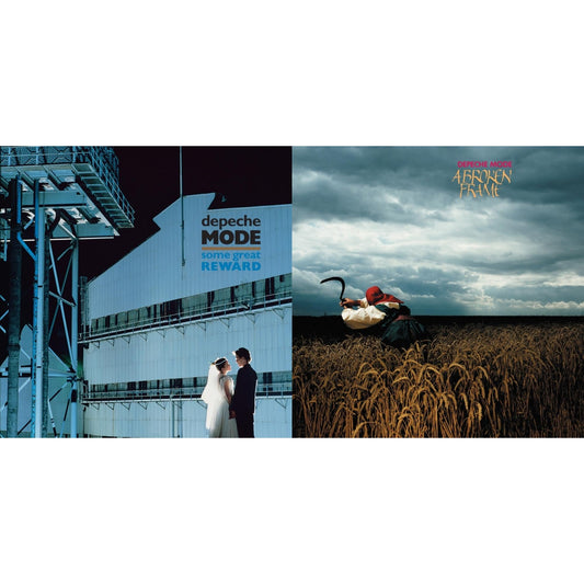Some Great Reward & Broken Frame (180G)