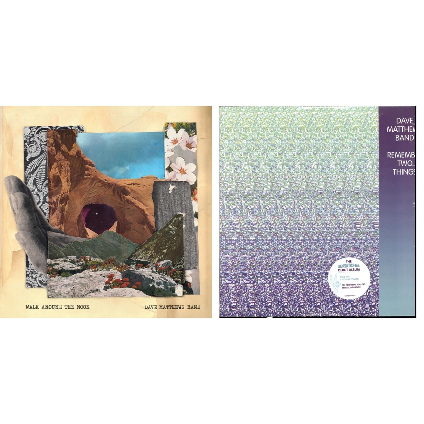 Walk Around The Moon & Remember Two Things (2LP/180G/Dl Card)