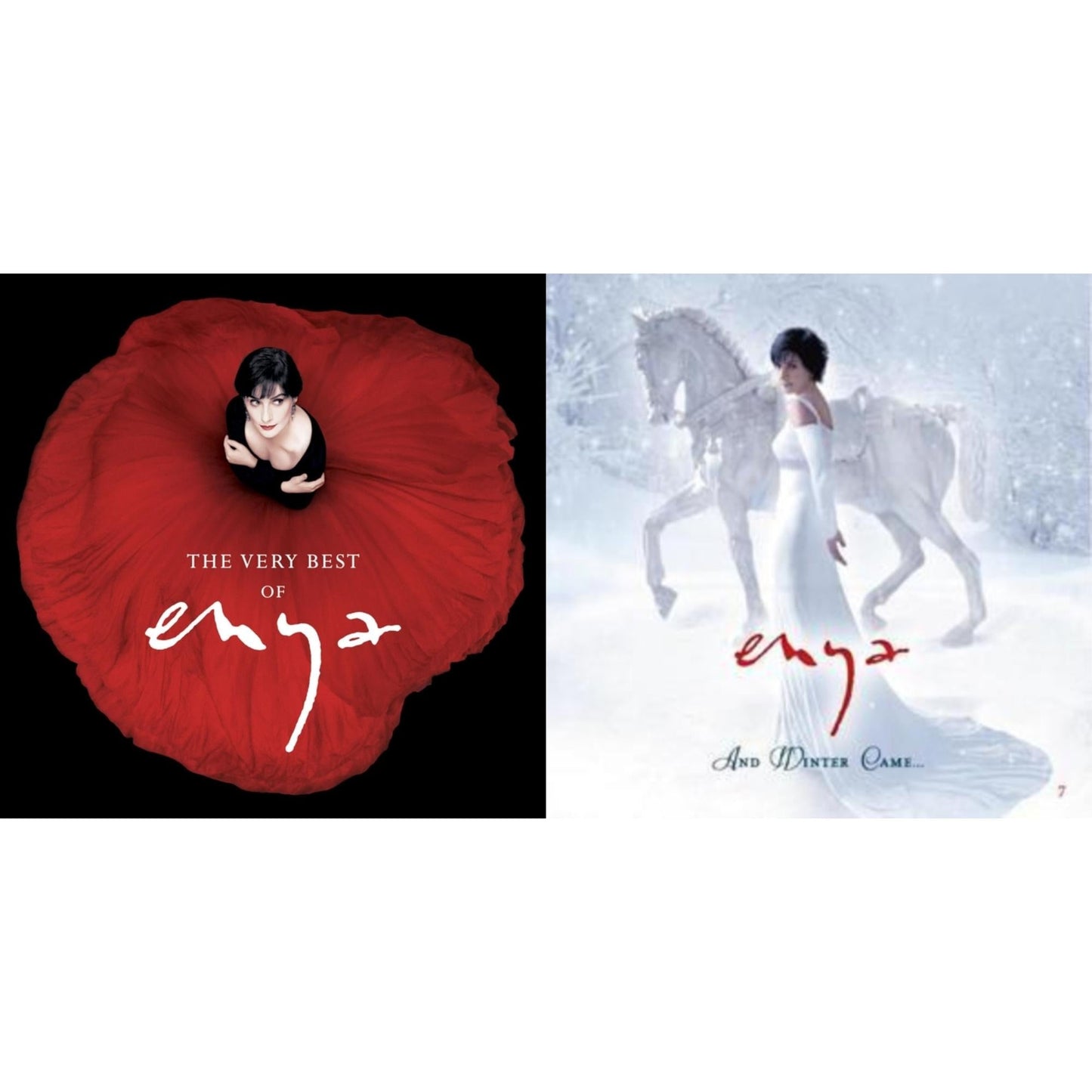 Very Best Of Enya & And Winter Came