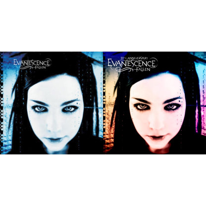 Fallen & Fallen (20Th Anniversary) (Deluxe Edition/2LP)