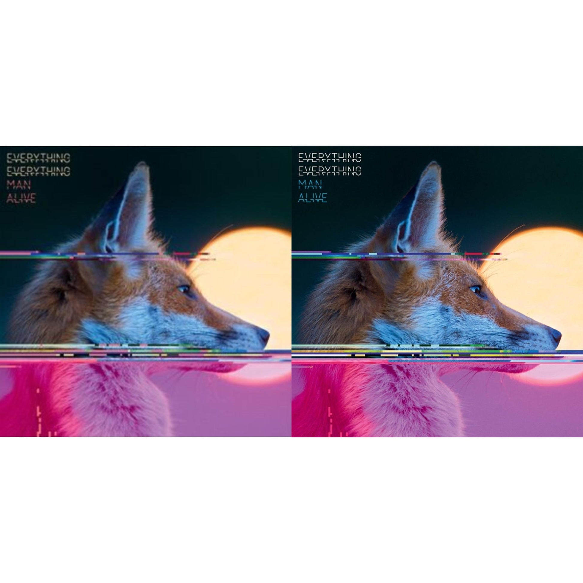 This is a 2 LP Vinyl SKU bundle.
1.This LP Vinyl is brand new.Format: LP VinylMusic Style: Alternative RockThis item's title is: Man Alive (Deluxe Edition) (2LP)Artist: Everything EverythingLabel: PROPER RECORDSBarcode: 805520240673Release Date: 8/25/2023
2.