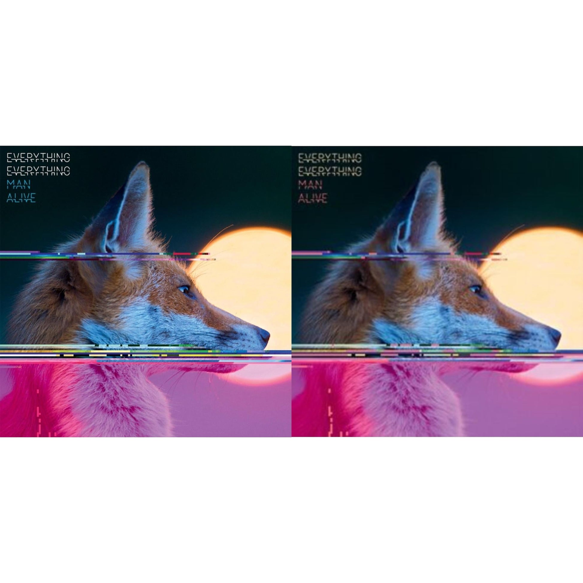 This is a 2 LP Vinyl SKU bundle.
1.This LP Vinyl is brand new.Format: LP VinylThis item's title is: Man AliveArtist: Everything EverythingLabel: PROPER RECORDSBarcode: 805520240666Release Date: 8/25/2023
2.This LP Vinyl is brand new.