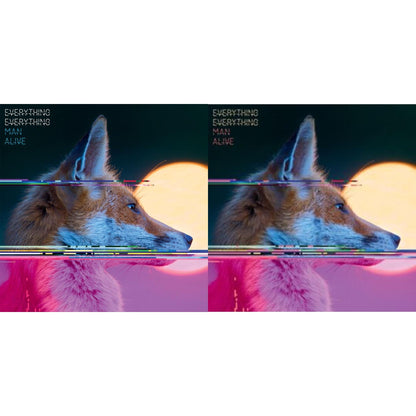 This is a 2 LP Vinyl SKU bundle.
1.This LP Vinyl is brand new.Format: LP VinylThis item's title is: Man AliveArtist: Everything EverythingLabel: PROPER RECORDSBarcode: 805520240666Release Date: 8/25/2023
2.This LP Vinyl is brand new.