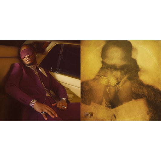 I Never Liked You & Future (X) (2LP)