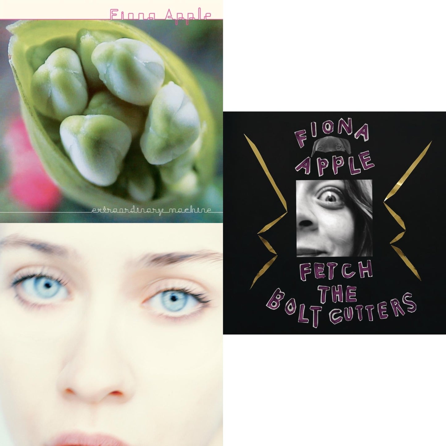 This is a 3 LP Vinyl SKU bundle.
1.This LP Vinyl is brand new.Format: LP VinylThis item's title is: Extraordinary Machines (2LP/180G)Artist: Fiona AppleBarcode: 196588302718Release Date: 12/8/2023
2.This LP Vinyl is brand new.