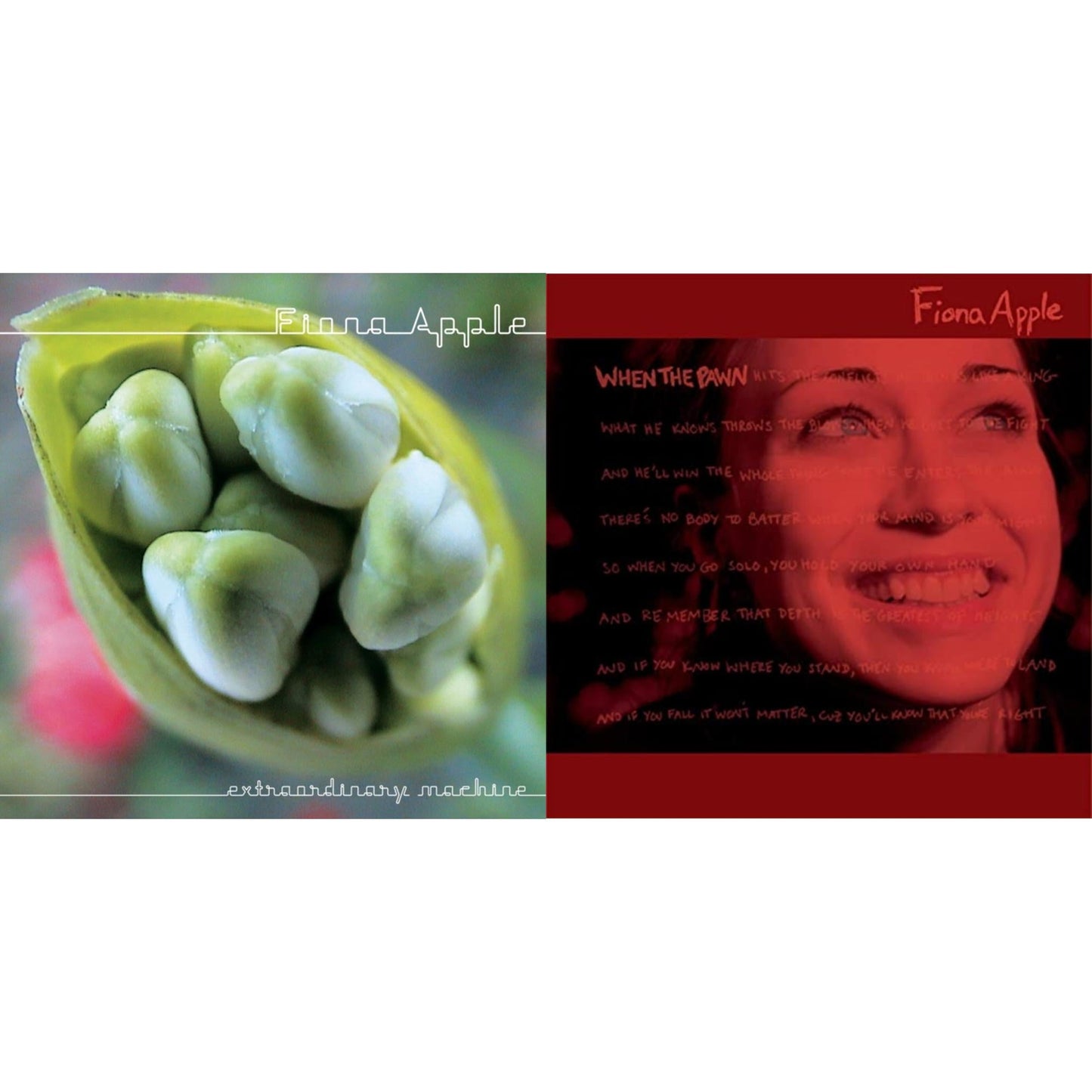 Extraordinary Machine & When The Pawn