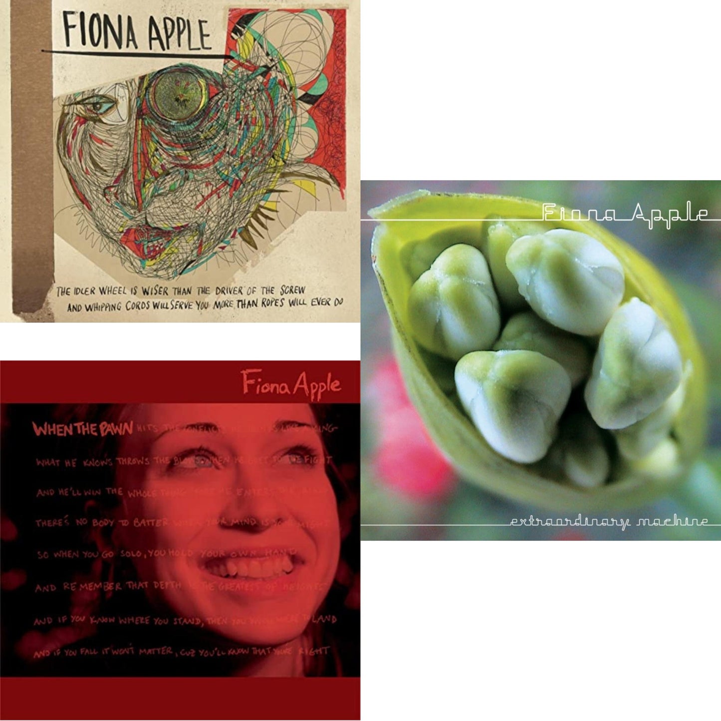 Idler Wheel Is Wiser Than The Driver & Extraordinary Machine & When The Pawn