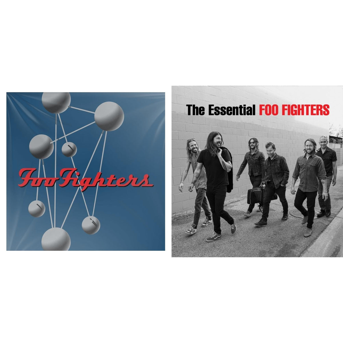 Foo Fighters - Essential Foo Fighters & Colour & The Shape (2LP/Dl Card)