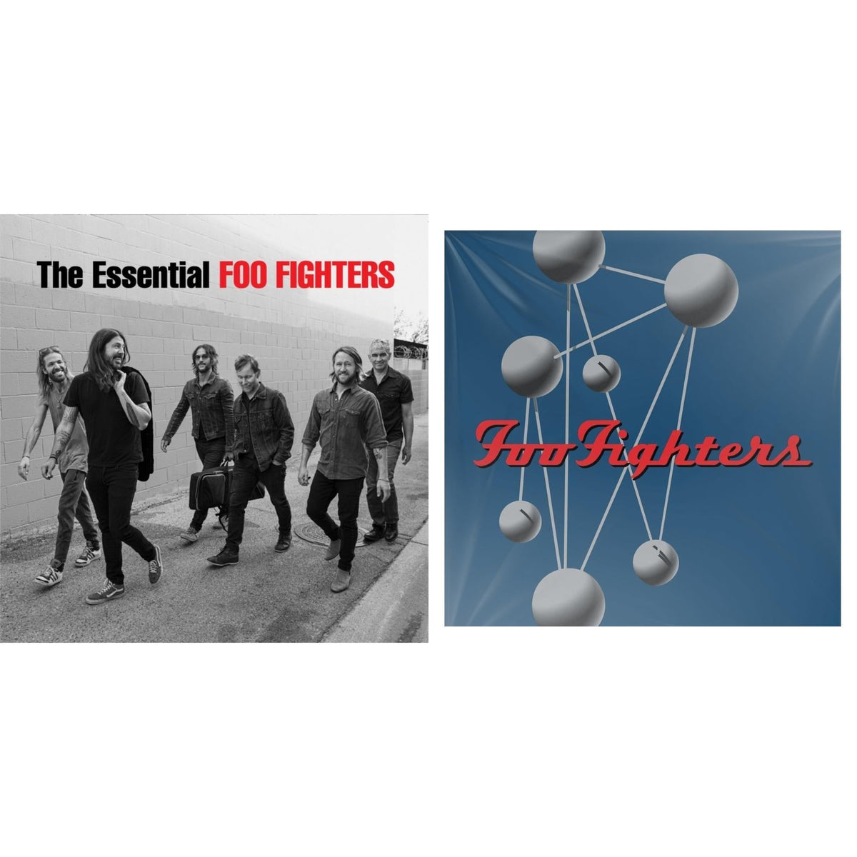 Essential Foo Fighters & Colour & The Shape (2LP/Dl Card)