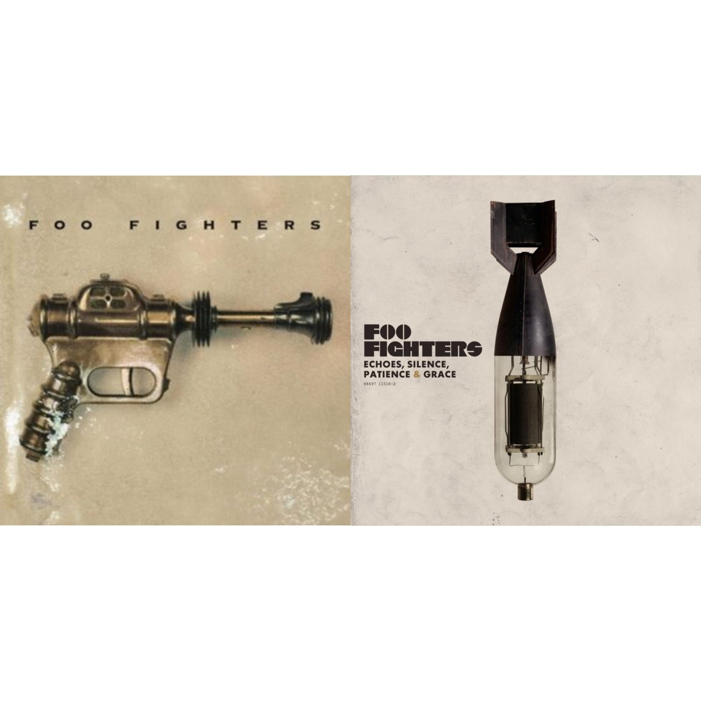 Foo Fighters & Echoes Silence Patience & Grace