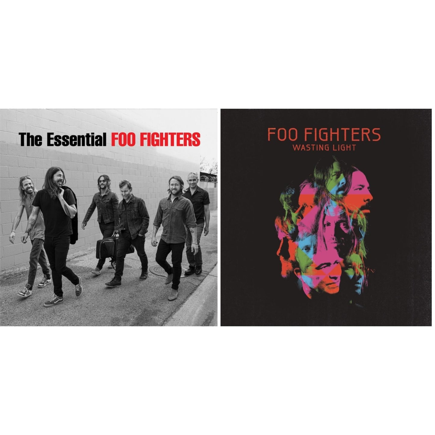 Essential Foo Fighters & Wasting Light (2LP/Dl Card/Gatefold)