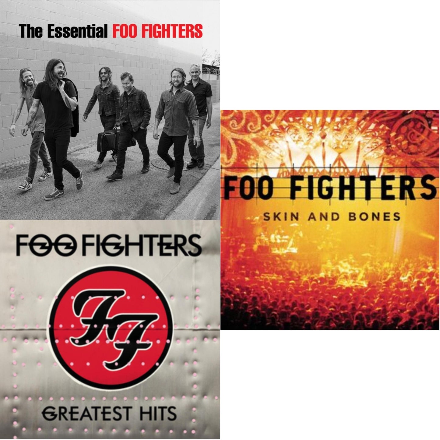 Essential Foo Fighters & Greatest Hits (2LP/Dl Card/Gatefold) & Skin & Bones (2LP/Dl Card)