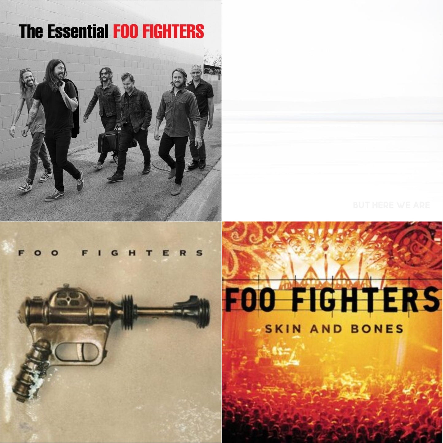 Essential Foo Fighters & But Here We Are & Foo Fighters (Dl Card) & Skin & Bones (2LP/Dl Card)