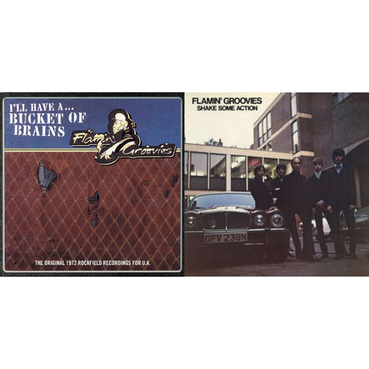 Bucket Of Brains & Shake Some Action (Burnt Orange LP Vinyl) (Ams Exclusive)