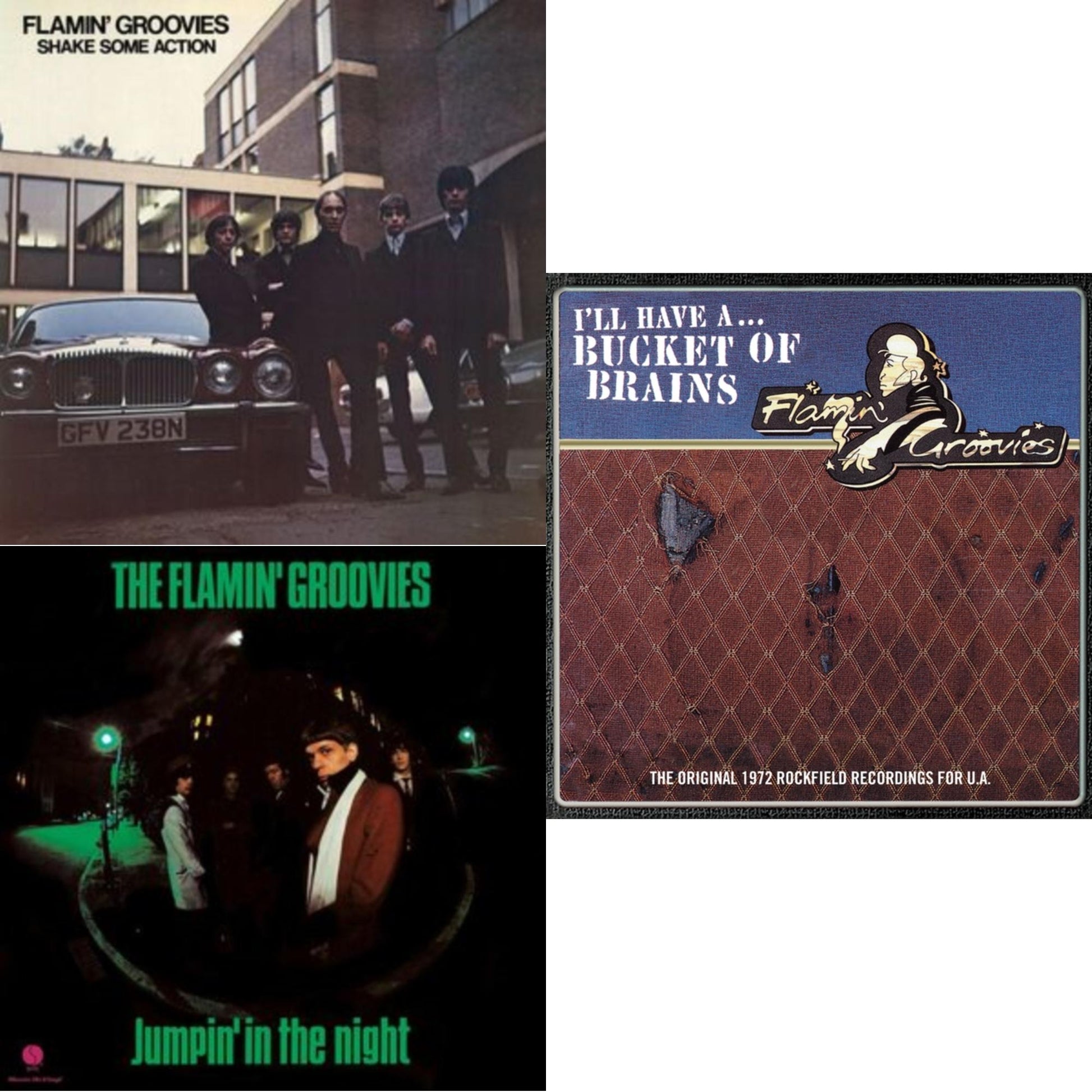 This is a 3 LP Vinyl SKU bundle.
1.This LP Vinyl is brand new.Format: LP VinylMusic Style: Garage RockThis item's title is: Bucket Of BrainsArtist: Flamin' GrooviesLabel: RHINO / PARLOPHONEBarcode: 190295104139Release Date: 6/12/2021
2.This LP Vinyl is brand new.