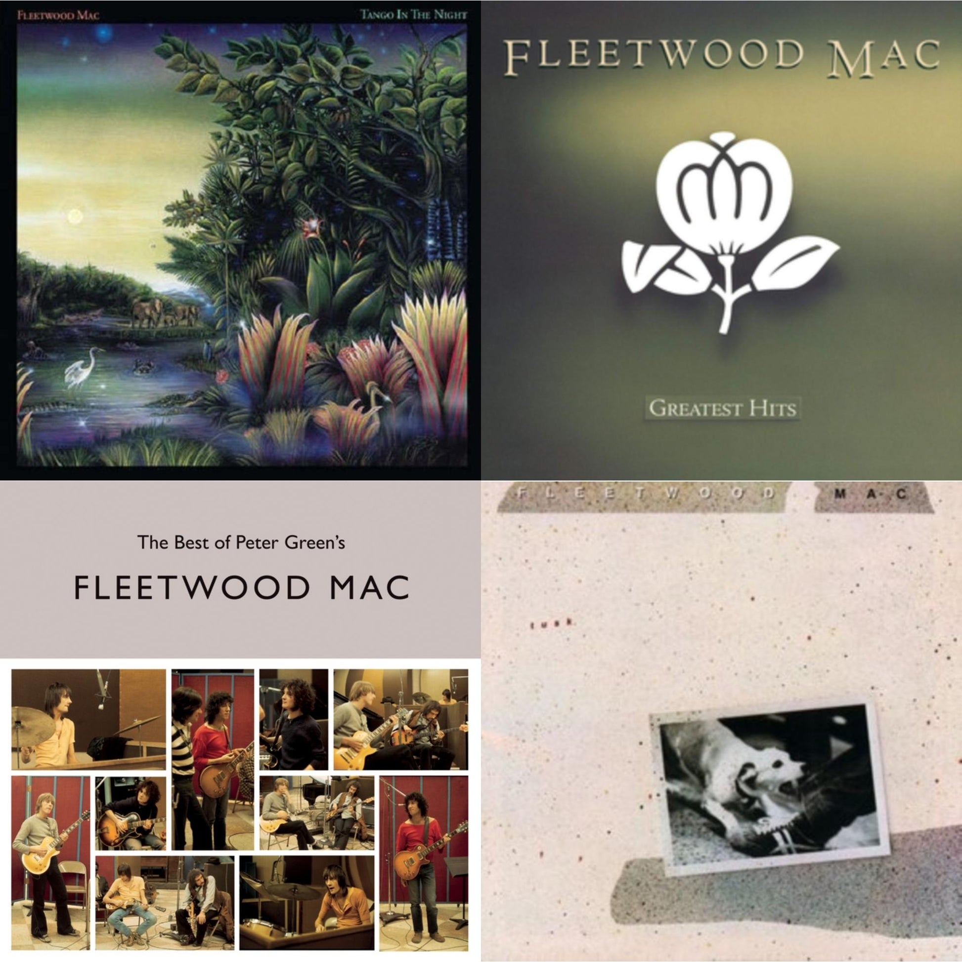 This is a 4 LP Vinyl SKU bundle.
1.This LP Vinyl is brand new.Format: LP VinylMusic Style: Pop RockThis item's title is: Tango In The NightArtist: Fleetwood MacLabel: RHINO/WARNER BROS.Barcode: 081227935610Release Date: 5/26/2017
2.This LP Vinyl is brand new.
