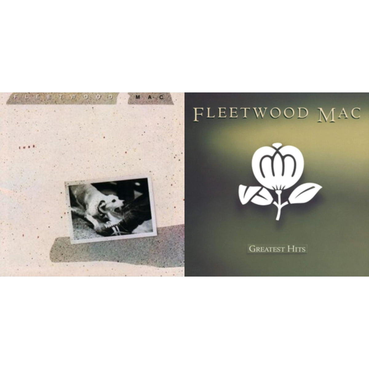 Fleetwood Mac - Greatest Hits & Tusk (2LP)