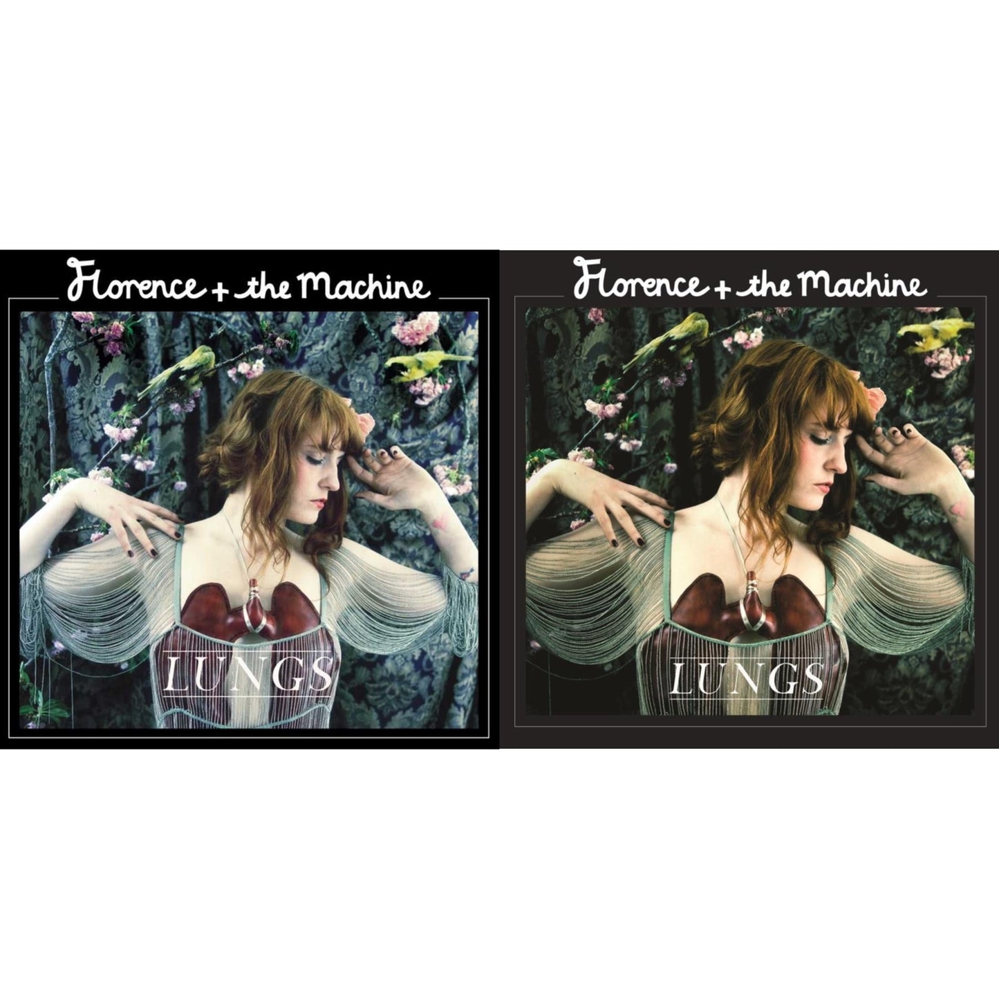 Lungs & Lungs (Red LP Vinyl)