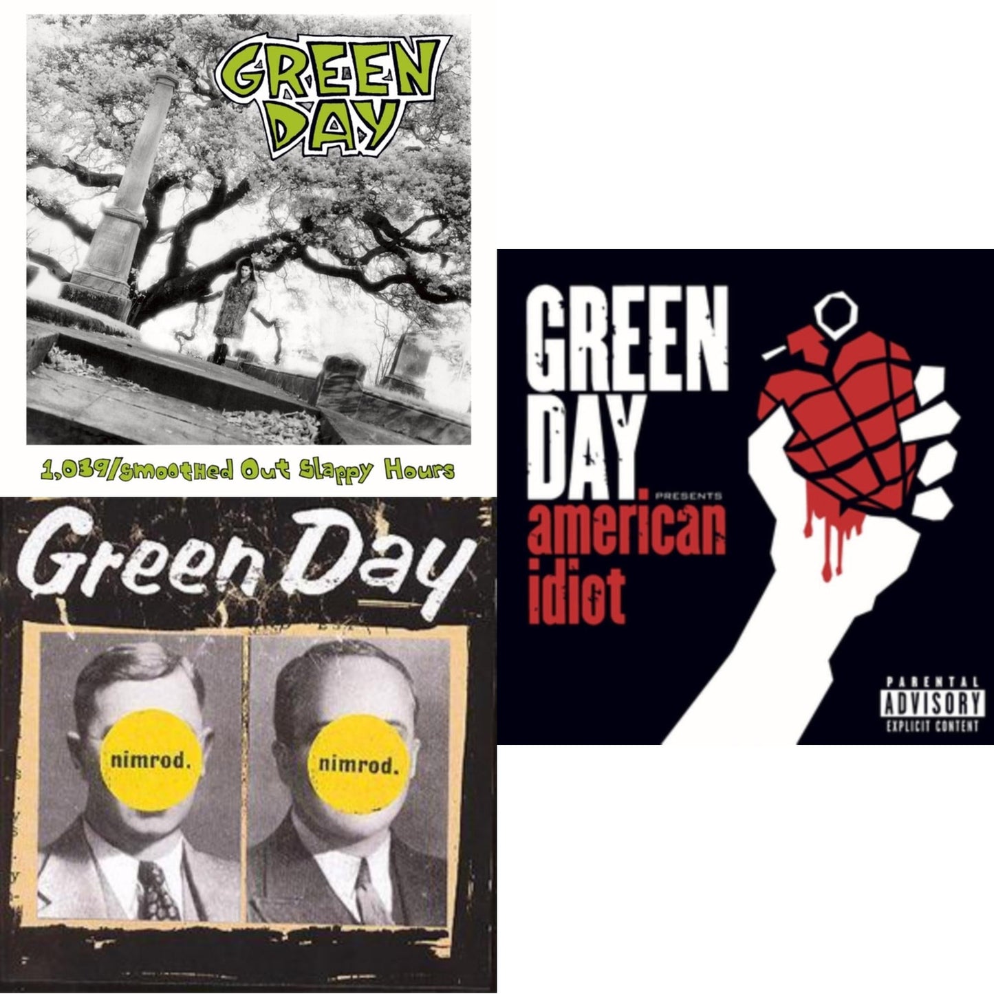 1,039 / Smoothed Out Slappy Hours & Nimrod & American Idiot