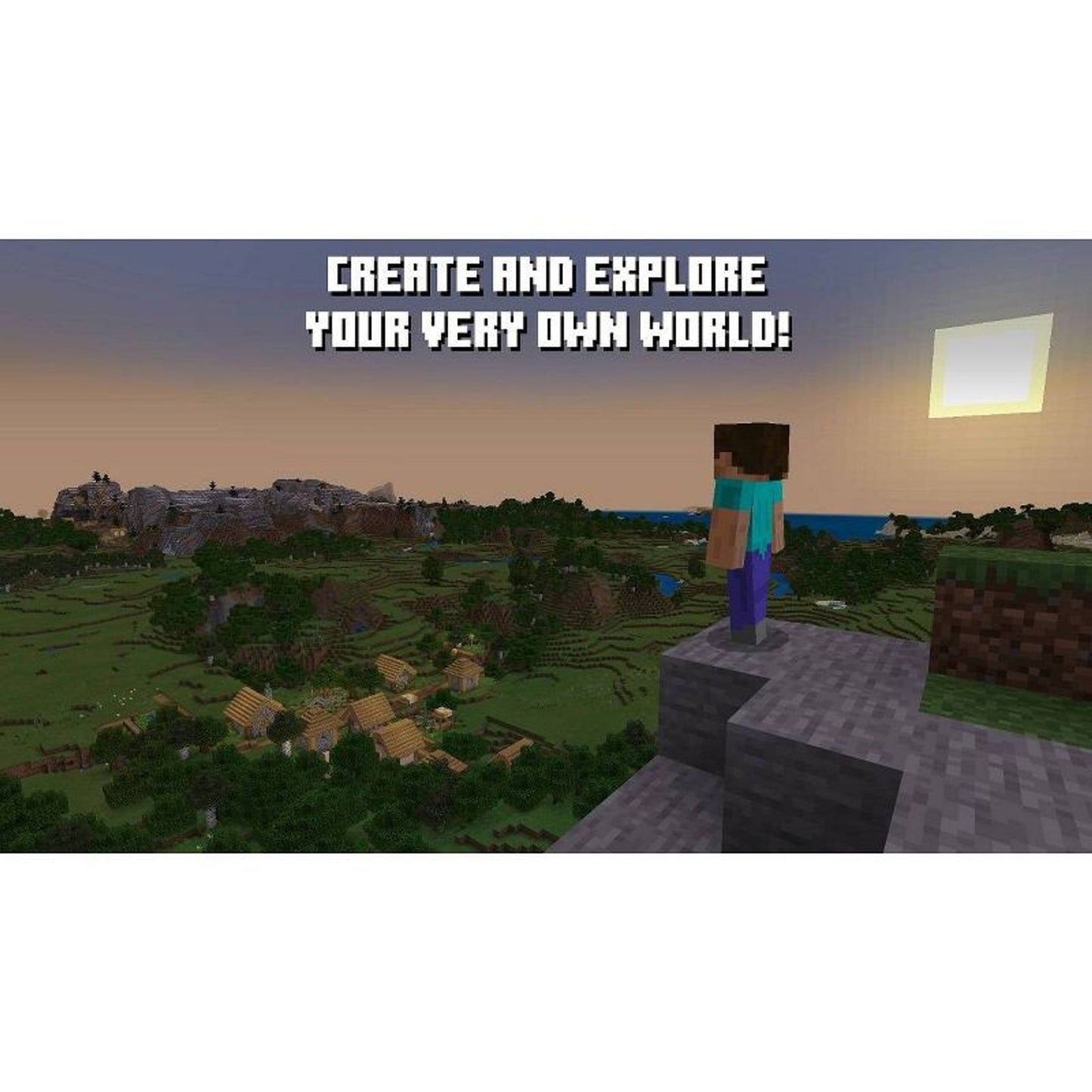 Minecraft - Switch