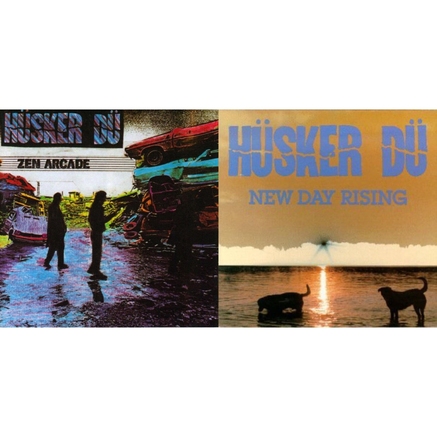 Zen Arcade & New Day Rising
