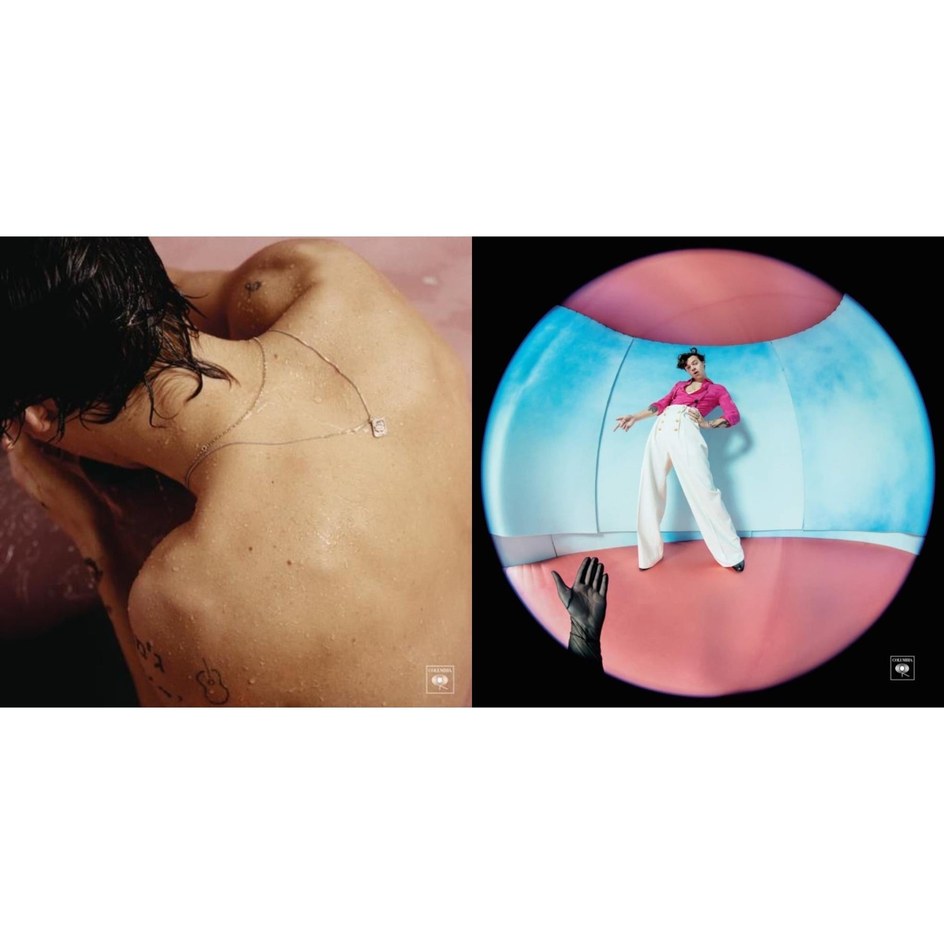 This is a 2 LP Vinyl SKU bundle.
1.This LP Vinyl is brand new.Format: LP VinylMusic Style: Pop RockThis item's title is: Fine Line (2LP/Gatefold/Poster)Artist: Harry StylesLabel: COLUMBIA RECORDSBarcode: 194397051414Release Date: 12/13/2019
2.This LP Vinyl is brand new.