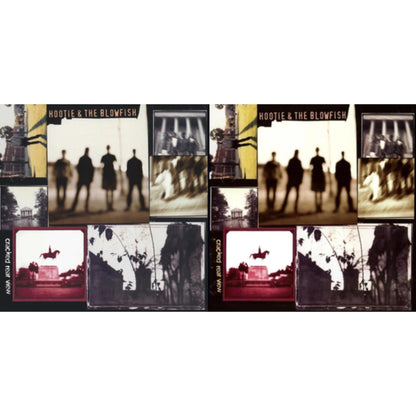 This is a 2 LP Vinyl SKU bundle.
1.This LP Vinyl is brand new.Format: LP VinylMusic Style: Pop RockThis item's title is: Cracked Rear ViewArtist: Hootie & The BlowfishLabel: RHINO ATLANTICBarcode: 081227941987Release Date: 9/20/2019
2.This LP Vinyl is brand new.