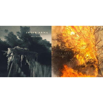 This is a 2 LP Vinyl SKU bundle.
1.This LP Vinyl is brand new.