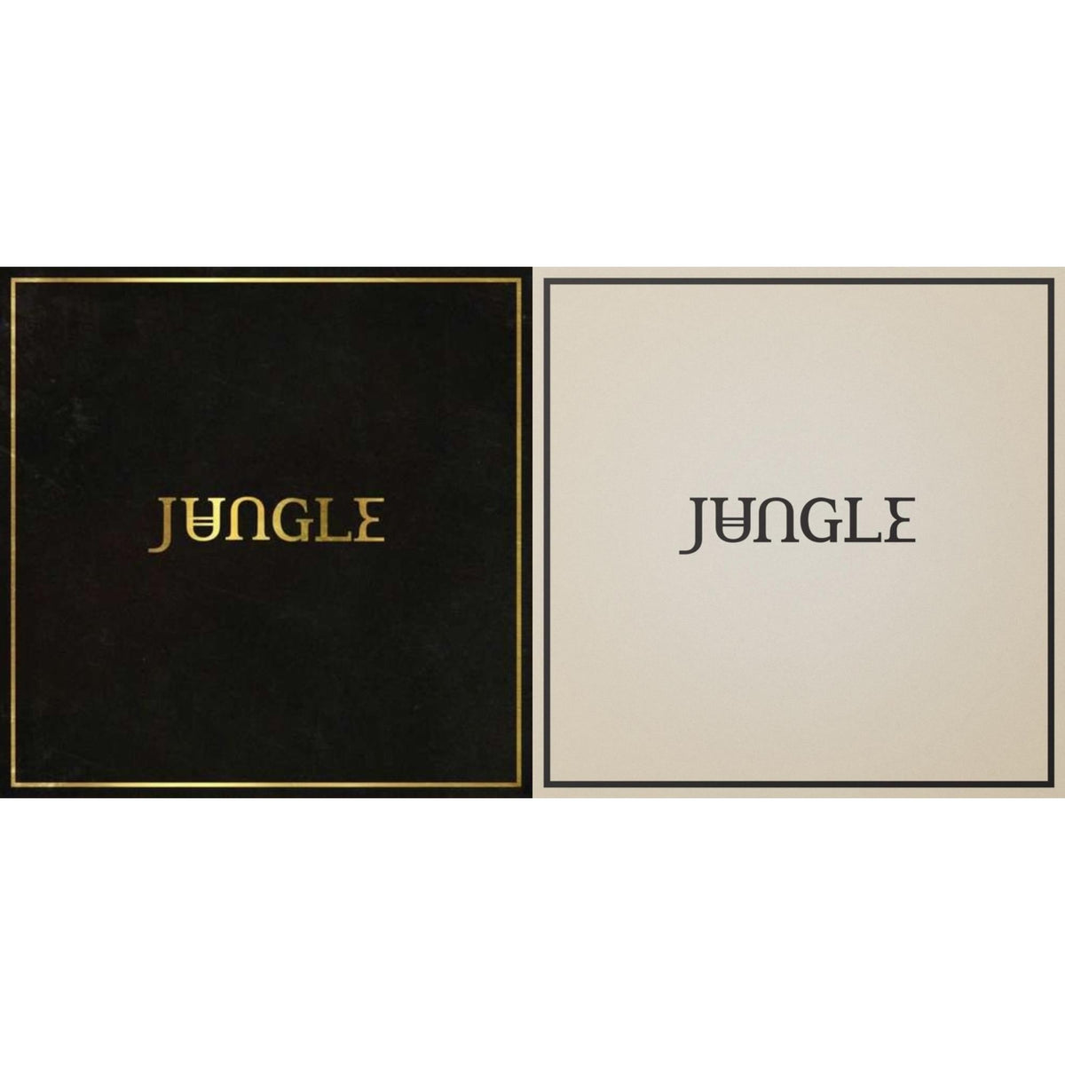 Jungle - Loving In Stereo & Jungle - LP Vinyl Bundle