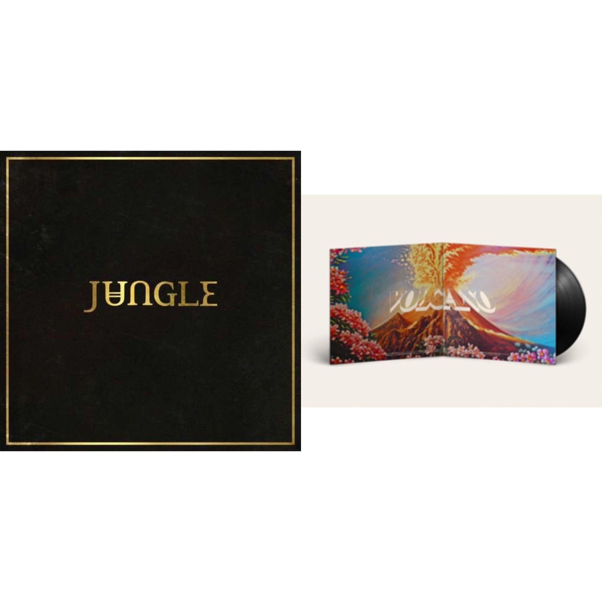 This is a 2 LP Vinyl SKU bundle.
1.This LP Vinyl is brand new.Format: LP VinylMusic Style: Neo SoulThis item's title is: JungleArtist: JungleLabel: XL RECORDINGSBarcode: 634904064716Release Date: 7/29/2014
2.This LP Vinyl is brand new.
