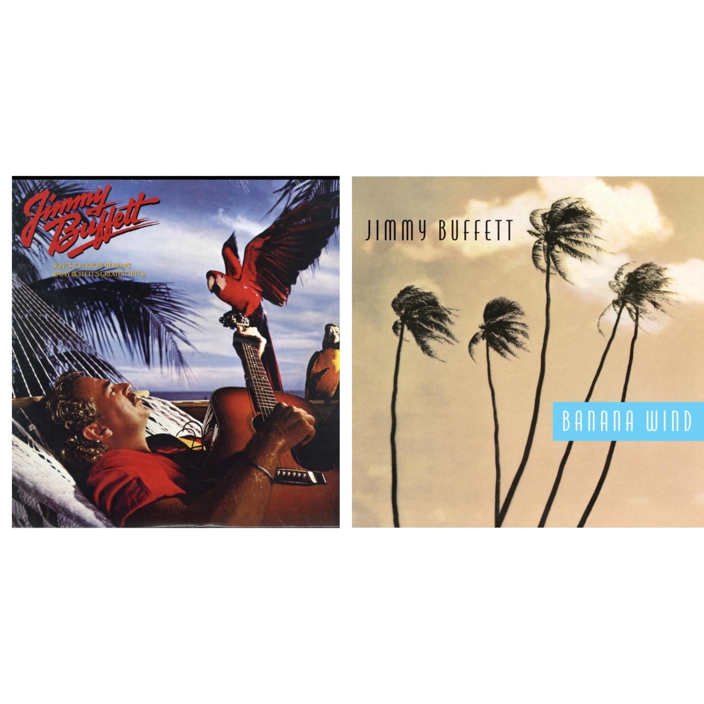 This is a 2 LP Vinyl SKU bundle.
1.This LP Vinyl is brand new.Format: LP VinylMusic Style: Folk RockThis item's title is: Songs You Know By HeartArtist: Jimmy BuffettLabel: Geffen RecordsBarcode: 602557105339Release Date: 11/18/2016
2.This LP Vinyl is brand new.