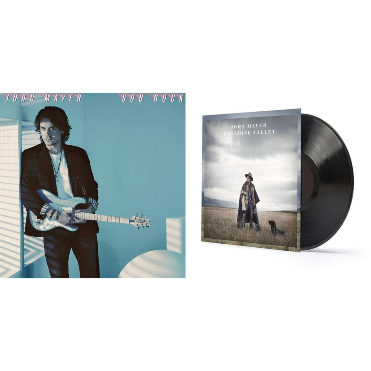 Sob Rock (180G) & Paradise Valley (LP/CD/180G)