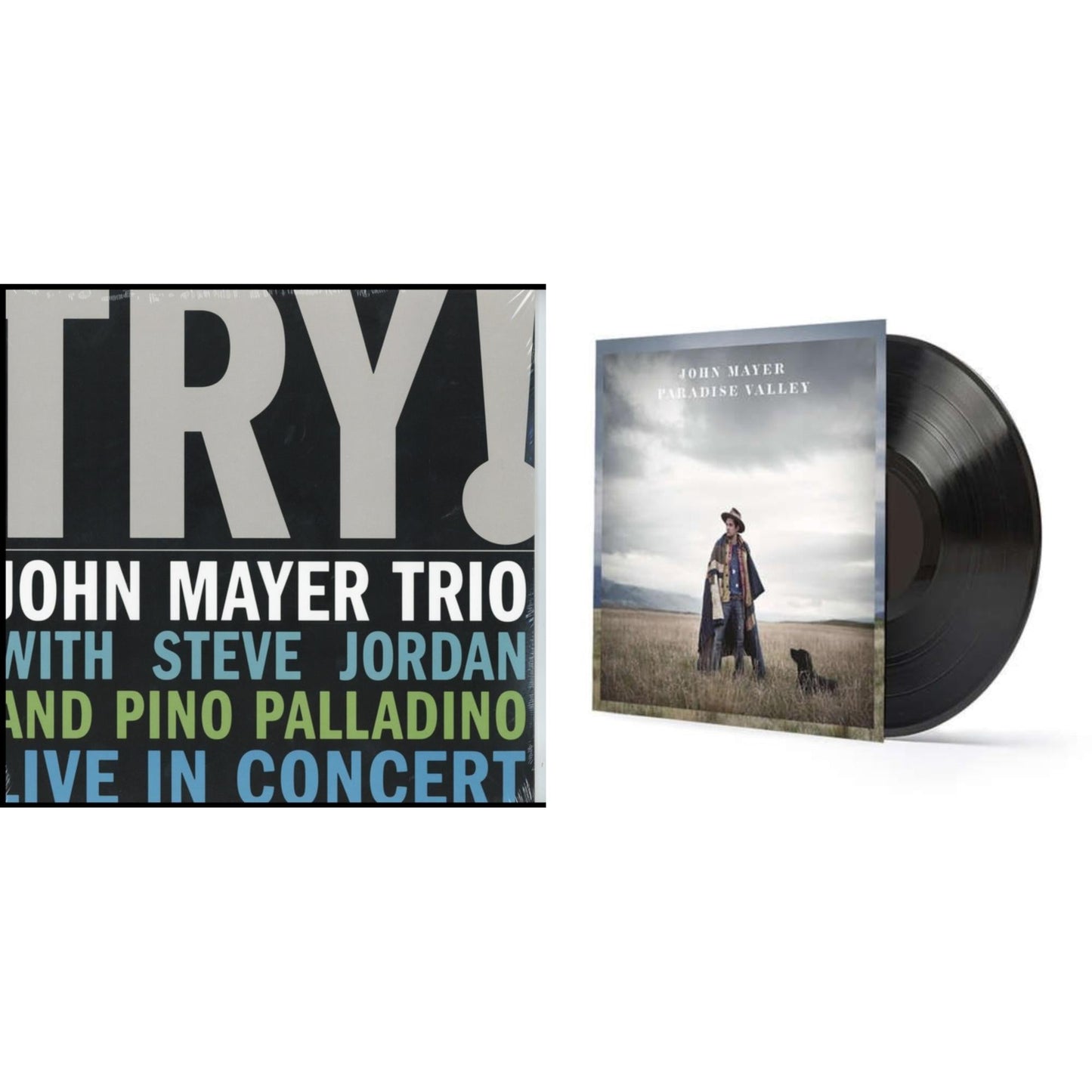 Try: Live In Concert & Paradise Valley (LP/CD/180G)