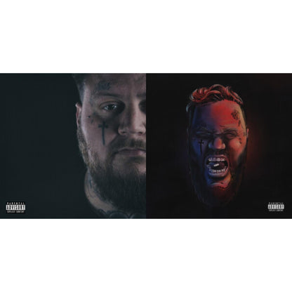 Beautiful Disaster & Self Medicated (2LP)