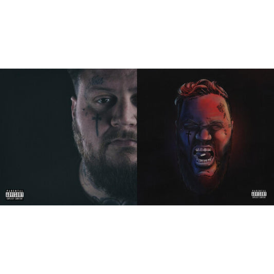 Beautiful Disaster & Self Medicated (2LP)
