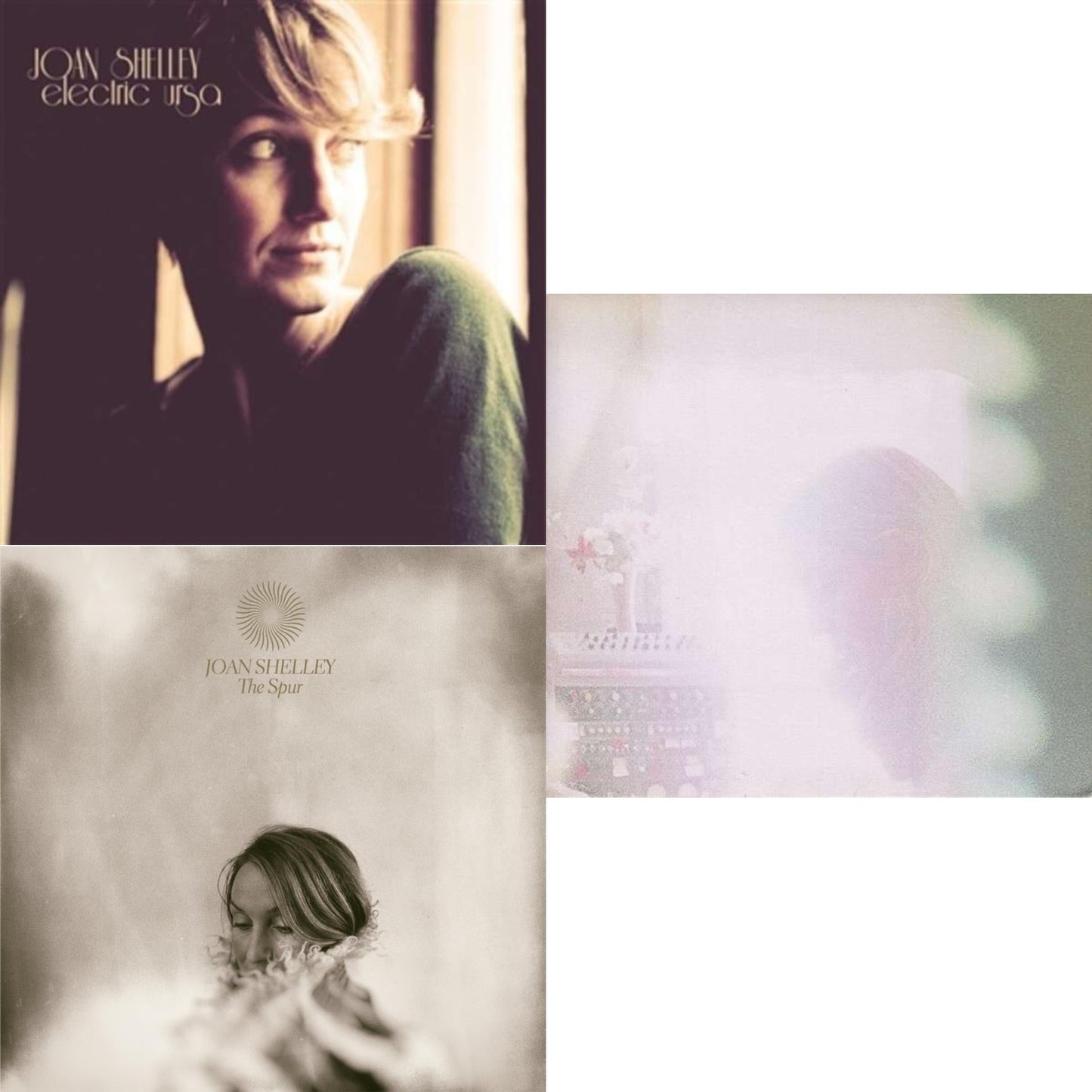 Electric Ursa (Purple LP Vinyl) & Ginko (Sea Green LP Vinyl) & Spur (White LP Vinyl) (I)