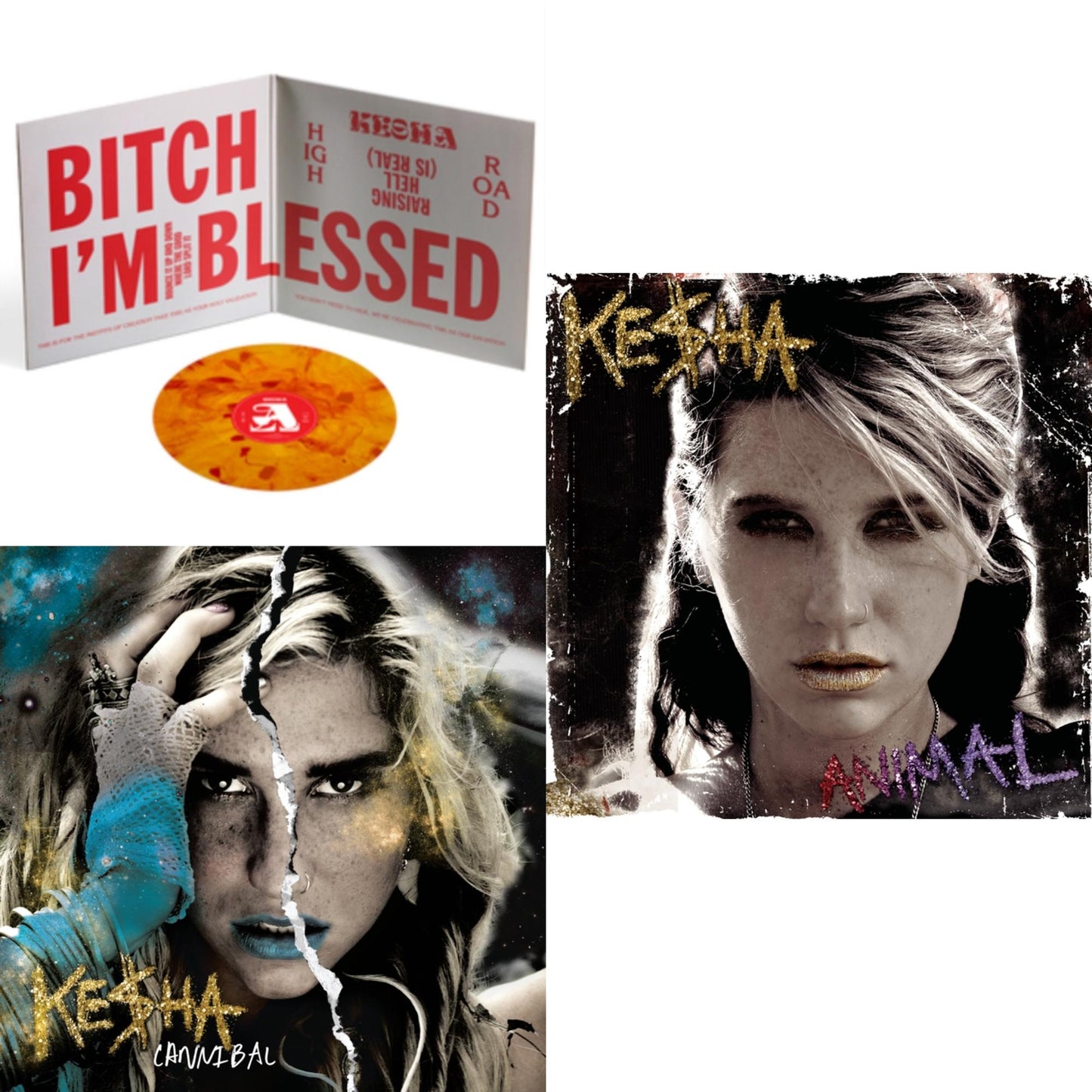 High Road (X) (2LP/140G/Orange & Red Tie Dye Vinyl) & Cannibal (Expanded Edition) & Animal (Expanded Edition)