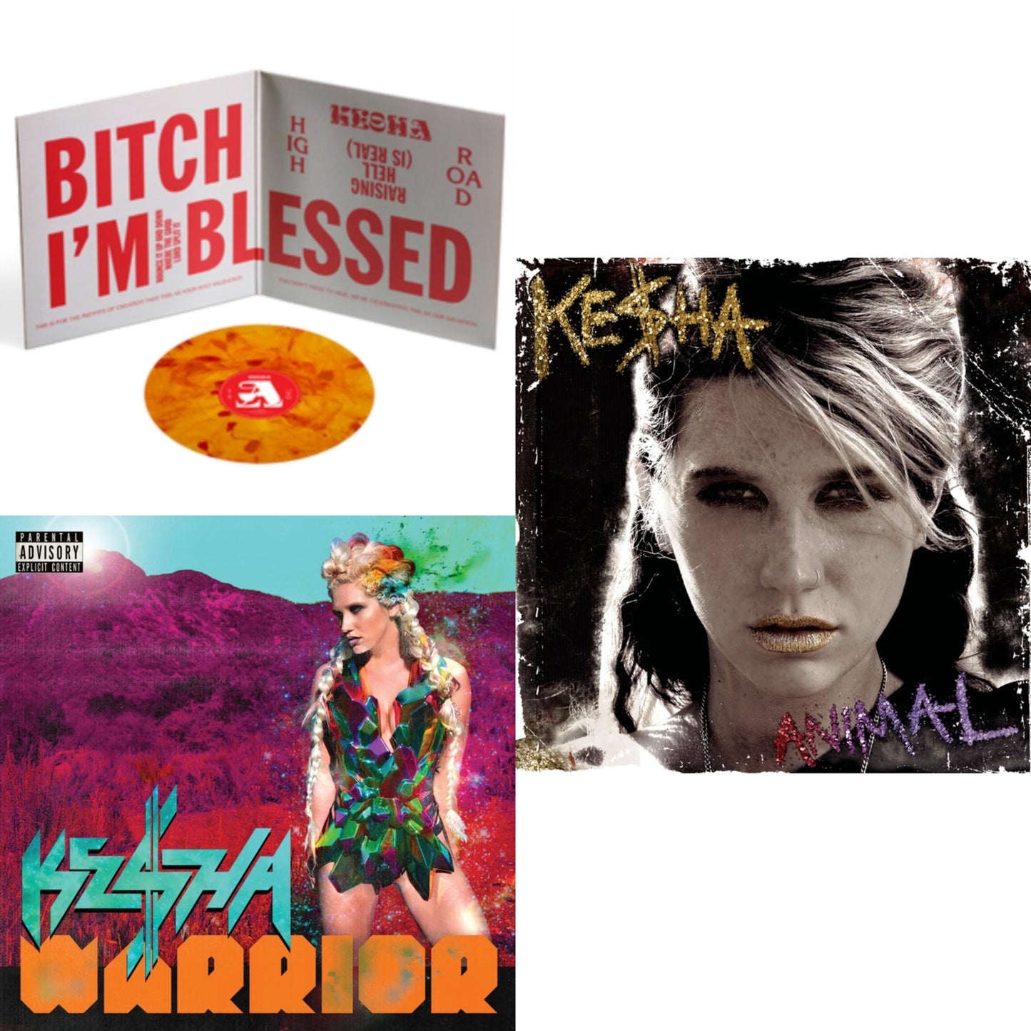 High Road (X) (2LP/140G/Orange & Red Tie Dye Vinyl) & Warrior (Expanded Edition) & Animal (Expanded Edition)