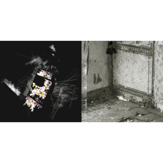 Capture & Release (180G) & Clean Hands Go Foul (Gold Nugget LP Vinyl)