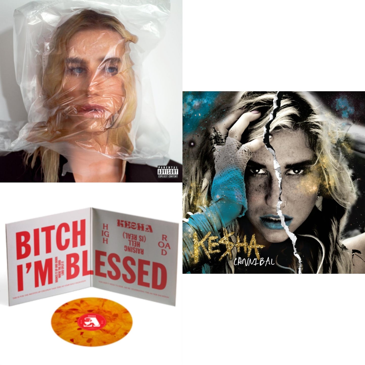 High Road (X) (2LP/140G/Orange & Red Tie Dye Vinyl) & Cannibal (Expanded Edition) & Gag Order (Bone Colored LP Vinyl)