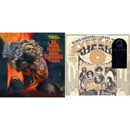 This is a 2 LP Vinyl SKU bundle.
1.This LP Vinyl is brand new.