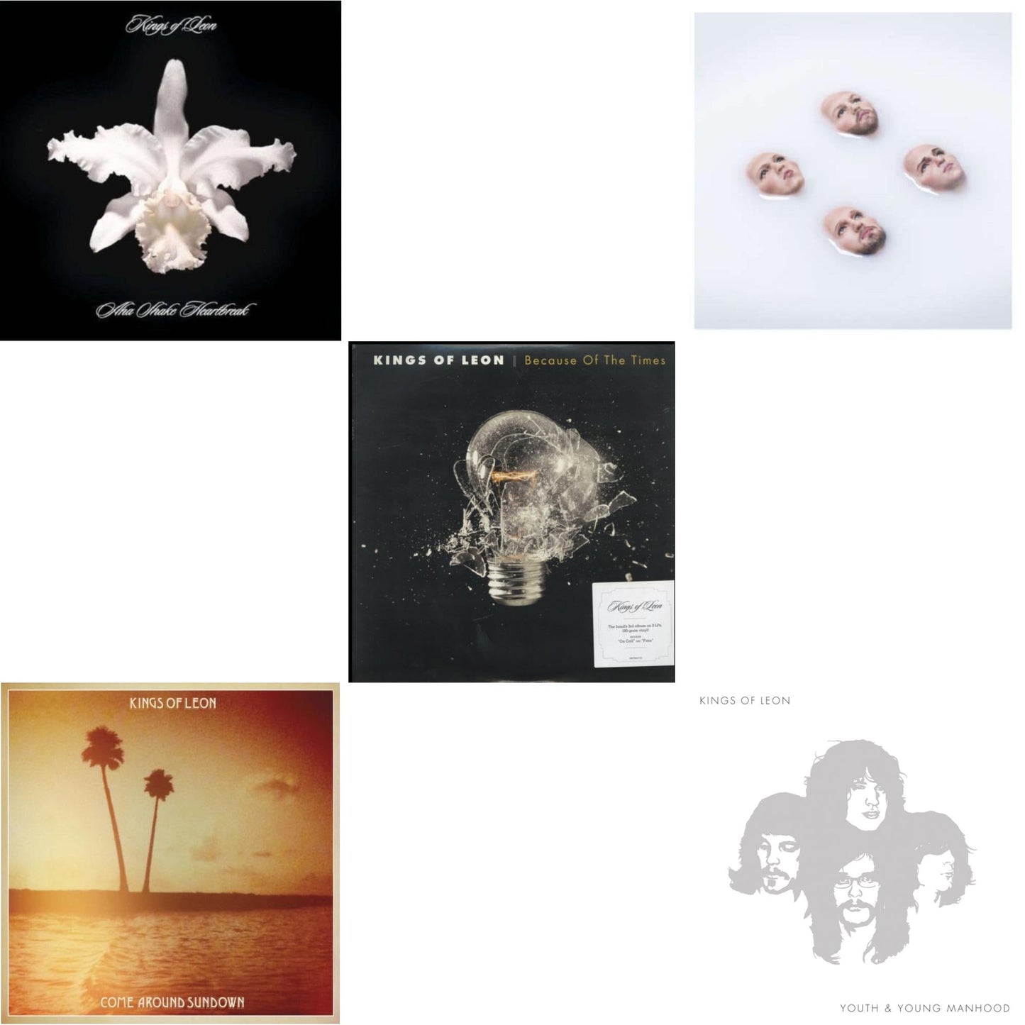 This is a 5 LP Vinyl SKU bundle.
1.This LP Vinyl is brand new.Format: LP VinylMusic Style: Rock & RollThis item's title is: Come Around Sundown (2LP/Gatefold)Artist: Kings Of LeonLabel: LEGACYBarcode: 886976496814Release Date: 10/19/2010
2.This LP Vinyl is brand new.