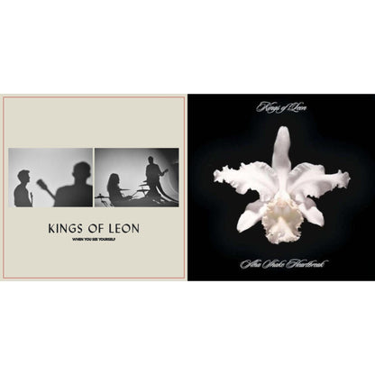 When You See Yourself (2LP/180G) & Aha Shake Heartbreak (2LP/180G/Gatefold)