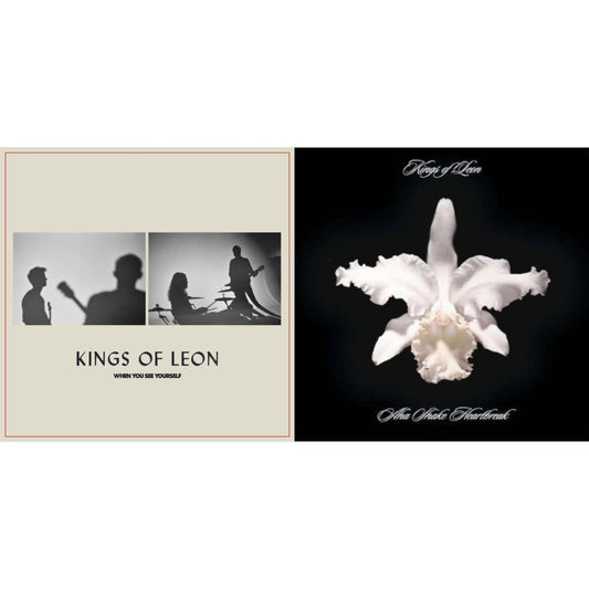 When You See Yourself (2LP/180G) & Aha Shake Heartbreak (2LP/180G/Gatefold)