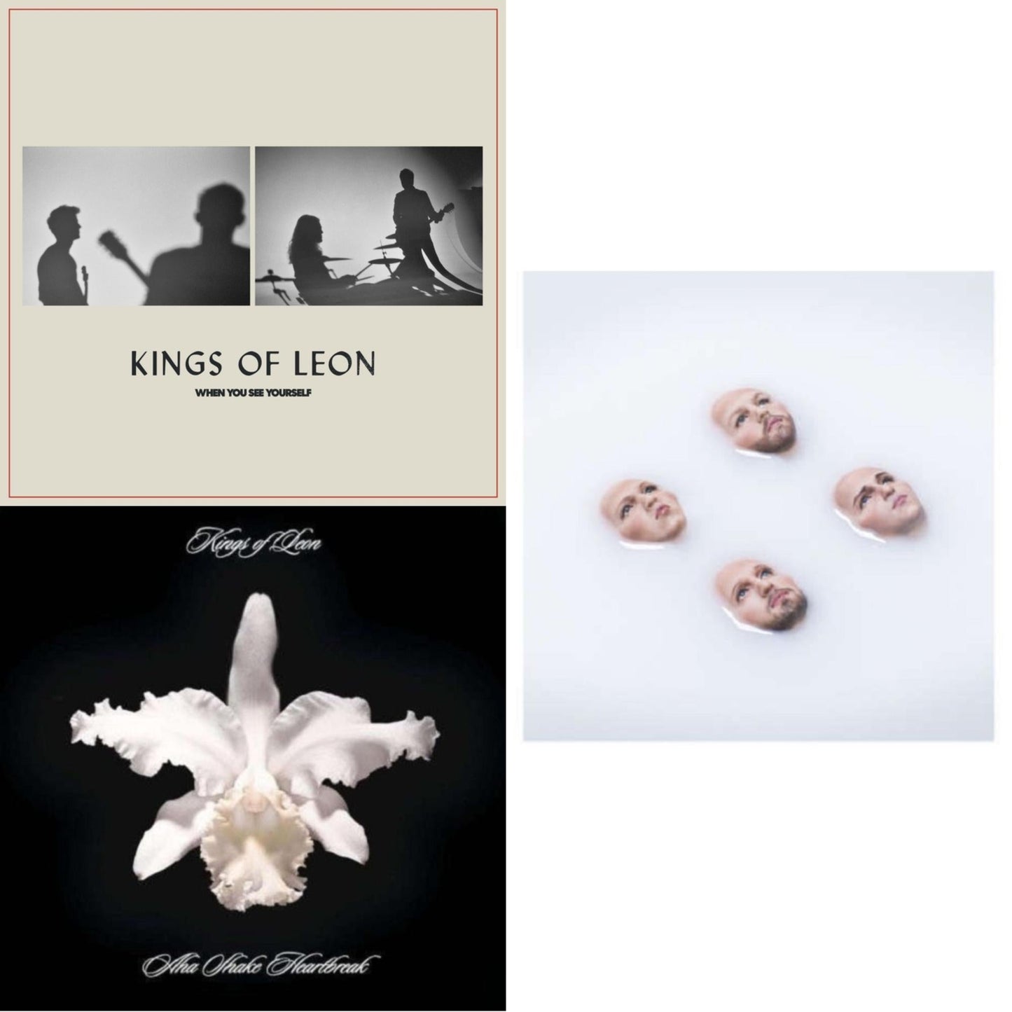 When You See Yourself (2LP/180G) & Aha Shake Heartbreak (2LP/180G/Gatefold) & Walls (180G/Gatefold/Dl Card)